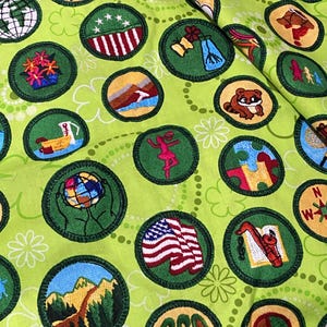 May include: Close-up of a light green fabric covered in embroidered patches. The patches are circular with green borders and feature various designs, including a globe, American flag, and a raccoon. The text "ECO ACTION" is visible on one patch.