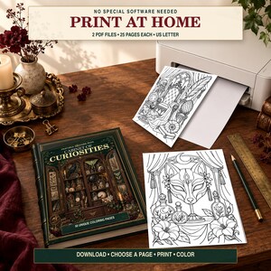May include: A printable coloring book titled Cabinet of Curiosities with 50 unique pages, accompanied by two printed sheets featuring intricate line art of a throne and a fox mask, alongside a printer, a wooden ruler, and a pencil on a desk.