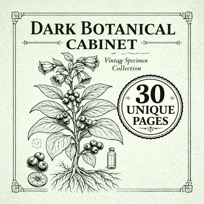 以下が含まれることがあります： 「Dark Botanical Cabinet」と「Vintage Specimen Collection」のテキストが入った、詳細な植物イラスト。ベリー、根、小さなボトルが描かれた植物と、「30 Unique Pages」と書かれた円形のエンブレムが特徴です。