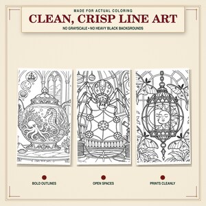May include: Three rectangular coloring pages featuring black line art on white backgrounds. The text reads: MADE FOR ACTUAL COLORING, CLEAN, CRISP LINE ART, NO GRAYSCALE, NO HEAVY BLACK BACKGROUNDS, BOLD OUTLINES, OPEN SPACES, PRINTS CLEANLY.