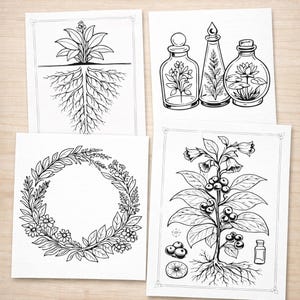 以下が含まれることがあります： 4つの白黒の植物イラスト。1つは根のある植物、もう1つは中に植物が入った3つのガラス瓶、花のリース、そしてベリーのある植物が描かれています。