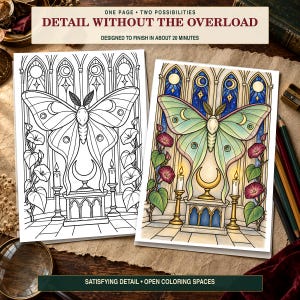 May include: Two coloring pages featuring a large moth centered above a pedestal with candles and climbing flowers against a gothic window background. One page is a black and white line drawing, and the other is a fully colored version of the same design.