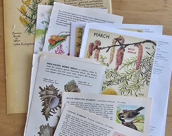 Vintage Nature Book Pages