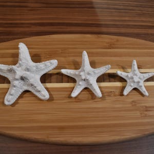 Beachy Starfish Hair Clip – Ocean-Inspired Hair Accessory for Women