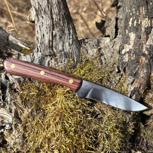 May include: A handcrafted knife with a wooden handle and a stainless steel blade. The handle is a dark brown color with three brass rivets. The blade is silver and has a slight curve. The knife is resting on a bed of green moss.