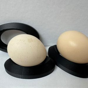 Può includere: Due porta uova in plastica nera con un uovo bianco in ciascuno. I porta uova hanno la forma di un anello con una base rialzata.