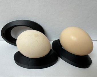 Hatching rings for chickens and quail in various sizes and colors