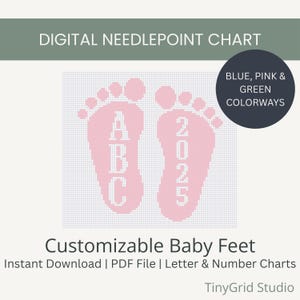 Customizable Baby Feet Needlepoint Ornament Chart in Pink, Blue, or Green