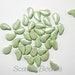 Paisley Duo 5x8 mm 2-Hole Czech Bead 30pcs 03000_14457