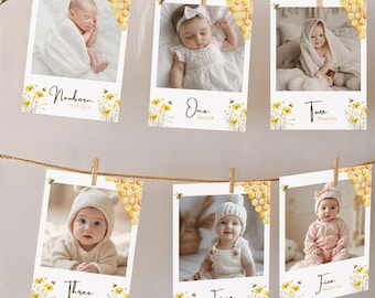 EDITABLE Bee First Birthday Monthly Photo Banner Honey Bee Monthly Milestone Picture Cards Sweet As Can Bee First Bee Day Party Garland Flag
