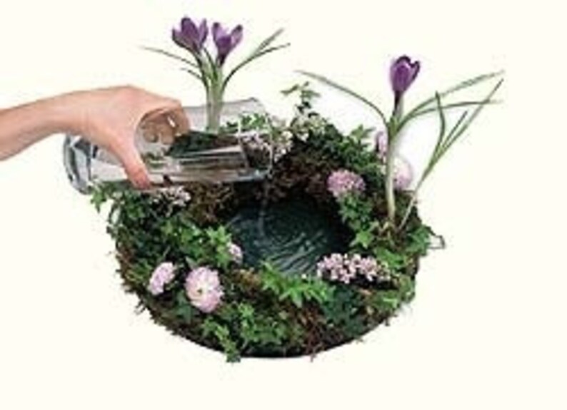 Oasis Floral Foam Design Rings 10.5 2 per pack Etsy