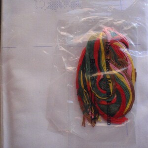 May include: A cross-stitch kit in a clear plastic bag. The kit includes a white fabric with a blue cross-stitch pattern, and a bundle of colorful embroidery floss in shades of red, green, yellow, and brown. The text "NOTE NEED MAY BE ENCLOSED" is visible.