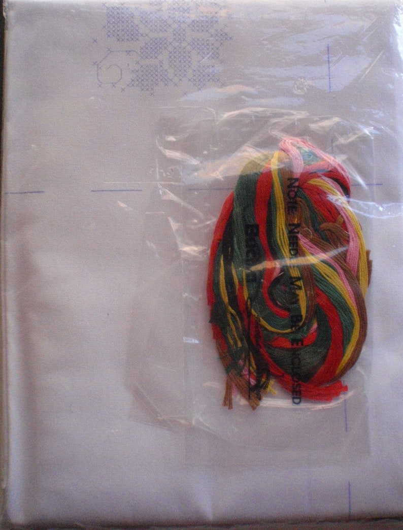 May include: A cross-stitch kit in a clear plastic bag. The kit includes a white fabric with a blue cross-stitch pattern, and a bundle of colorful embroidery floss in shades of red, green, yellow, and brown. The text "NOTE NEED MAY BE ENCLOSED" is visible.