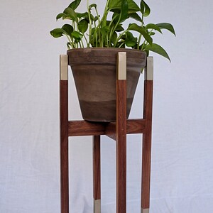 May include: A brown wooden plant stand with silver accents supports a terracotta pot with a green leafy plant.