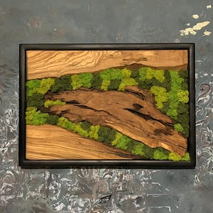 Handmade Unique Moss Wall Art | One of a Kind Olive Wood Rustic Decor | Preserved Moss Wall Hanging