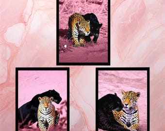 Juego de 3 pósteres de leopardo y pantera rosa del desierto: arte mural de animales de la jungla audaz, impresión digital de lujo para sala de estar o regalo.