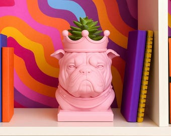 Bulldogge Blumentopf: Königlicher Hund Sukkulenten Topf