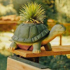 Hand-painted Turtle Planter: 3D Printed Succulent Pot - Indoor Garden Decor  - Etsy