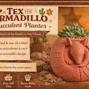 Tex the Armadillo Succulent Planter Pencil Holder – Handmade Texas Armadillo Pot, Desert Decor, Office Gift