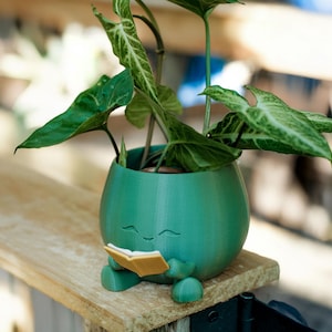 Op de afbeelding: Een turquoise plantenpot met een lachend gezicht, die een klein, open boek vasthoudt. De pot is gevuld met groene bladeren. De pot staat op een houten oppervlak.