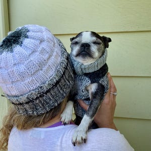 Hand-Knitted Matching Beanie and Dog Sweater Set: Gray & White Knit