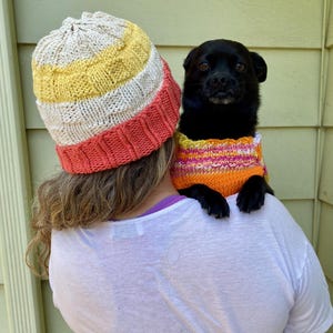 Hand Knit Dog Sweater & Beanie Set: Striped Fall Colors