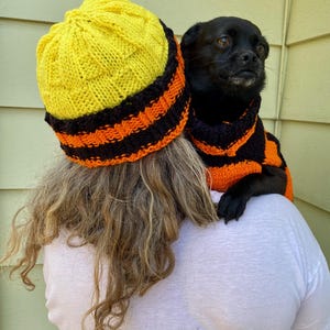 Halloween Knit Beanie & Dog Sweater Set: Matching Pet Outfit