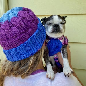 Handmade Knit Dog Sweater with Matching Human Hat - Pet Lover Gift