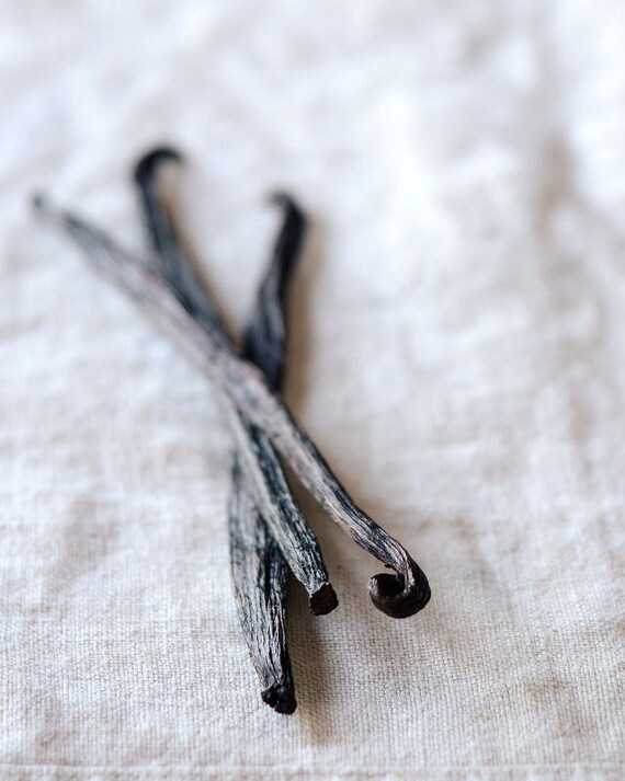 Items similar to FREE SHIPPING Vanilla Beans 8x10 Fine Art Kitchen