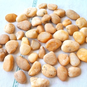 May include: A collection of smooth, rounded river rocks in various shades of tan and brown. The stones vary in size and shape, with some being elongated and others more circular. The rocks are arranged on a white surface, creating a natural, earthy aesthetic.