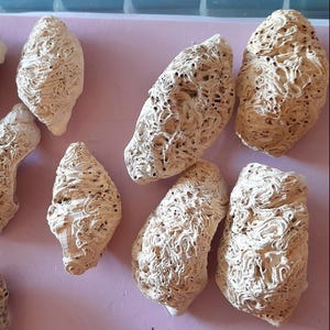 May include: A collection of off-white, porous, irregularly shaped objects. The objects have a textured, almost sponge-like appearance, with numerous holes and crevices throughout their surfaces. They are arranged on a light purple surface.