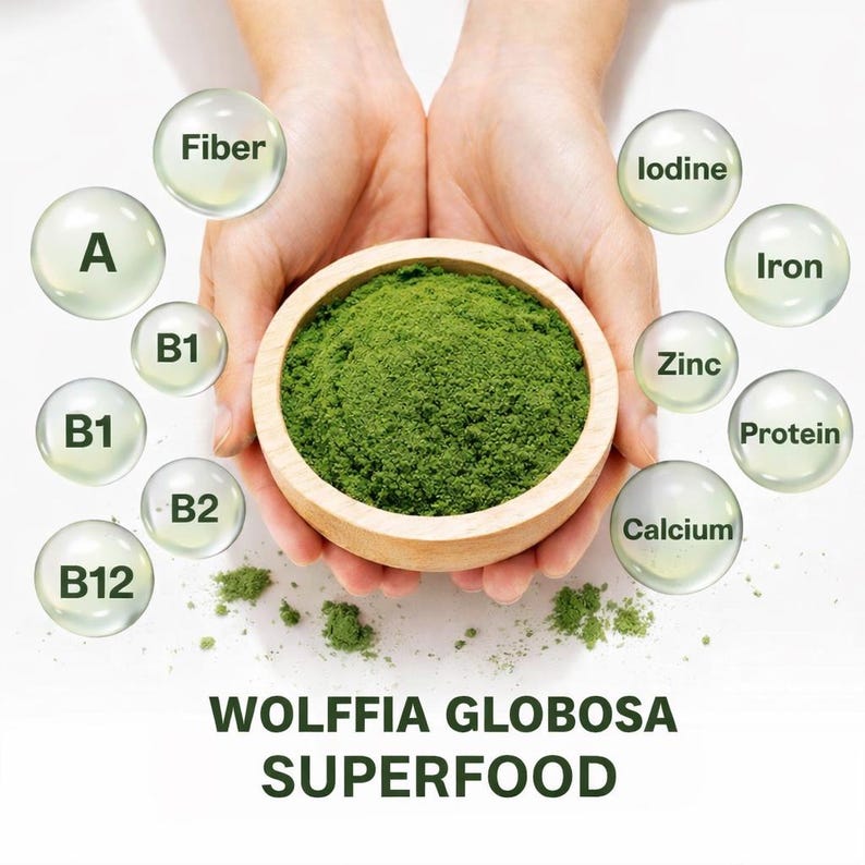 May include: A wooden bowl filled with green Wolfia Globosa superfood, held by two hands. Surrounding the bowl are bubbles with the words "Fiber", "Iodine", "Iron", "Zinc", "Protein", "Calcium", and vitamins A, B1, B2, and B12. The text "WOLFFIA GLOBOSA SUPERFOOD" is at the bottom.