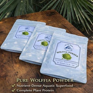 May include: Three light blue pouches of Wolffia Powder, a nutrient-rich aquatic superfood, are displayed on a wooden surface. Each pouch features a label with the product name, a green powder image, and the text "Nutrient-Rich Superfood, Net Weight 1.76 oz / 50g".
