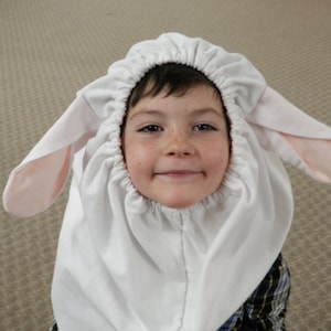 Sheep Costume Pattern