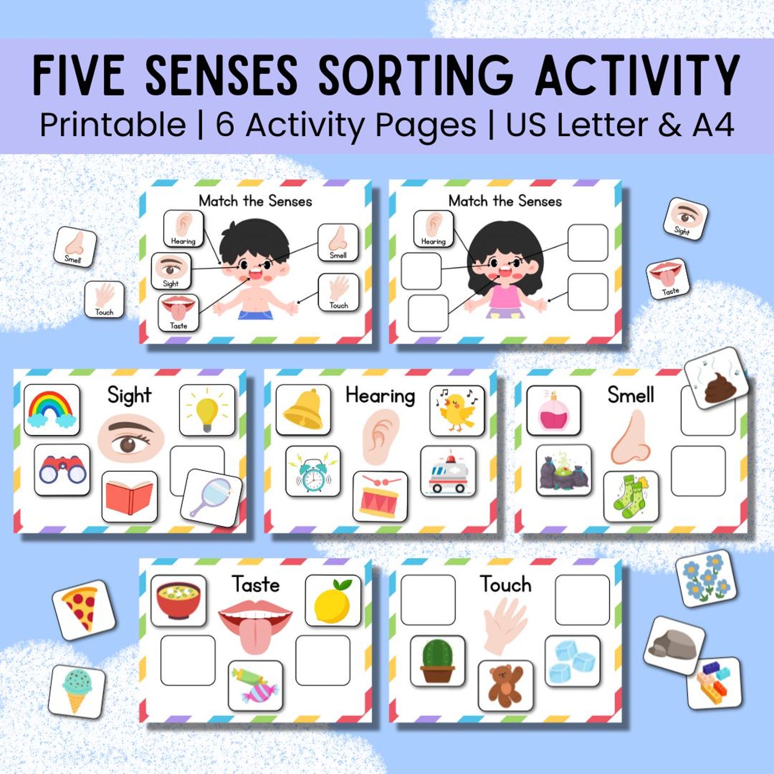 Five Senses Sorting Activity Printable, 5 Senses Sorting, Homeschool ...