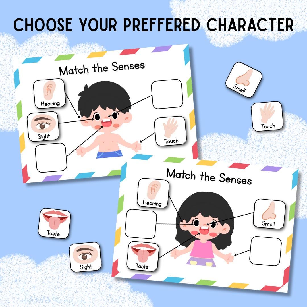 Five Senses Sorting Activity Printable, 5 Senses Sorting, Homeschool ...