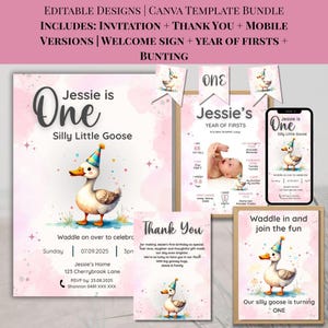 One Silly Goose 1st Birthday Bundle, Goose Invite First Birthday Bundle, 1st Birthday Girl, Pink Silly Goose Birthday Vintage