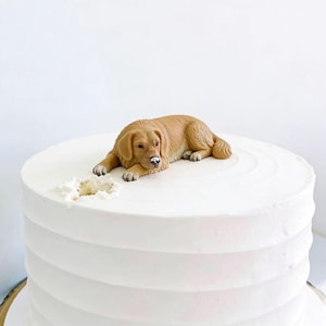 May include: A round cake with smooth white icing featuring a textured horizontal band pattern. A small, realistic golden-brown dog figurine is lying down on the top surface of the cake, positioned next to a small indentation in the icing.