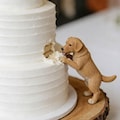 Personalized Pet Figurine Wedding Cake Topper, Custom Dog Cat Decor, Unique Wedding & Anniversary Gift