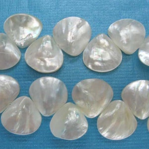 Full Strand Ivory White Mother of Pearl  Fan Shaped Beads 20x20mm, 16x16mm