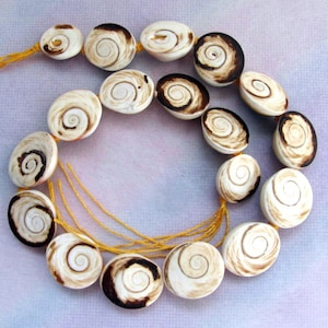 May include: A strand of white and brown shell beads with a spiral pattern. The beads are strung on a yellow thread.