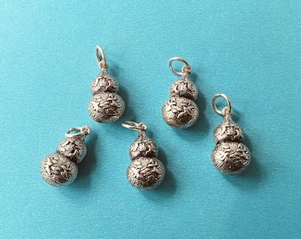 Könnte beinhalten: Fünf silberfarbene, kürbisförmige Anhänger mit aufwendigen geprägten Designs. Jeder Anhänger hat oben eine kleine Schlaufe zum Befestigen an einer Kette oder einem anderen Schmuckbestandteil. Die Anhänger werden vor einem hellblauen Hintergrund präsentiert.