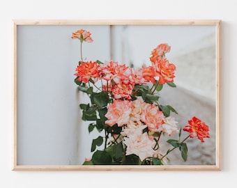 Country Flowers Photography, Aesthetic Wall Art, Coral Orange Floral Wall Decor, Garden Photograph, Coral Farmhouse, Garden Aesthetic Girl