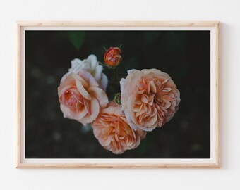 Moody Coral Peach Roses Photography Print, Dark Floral Wall Art, Botanical Master Bedroom Wall Decor, Dark Green Coral Flowers Poster,