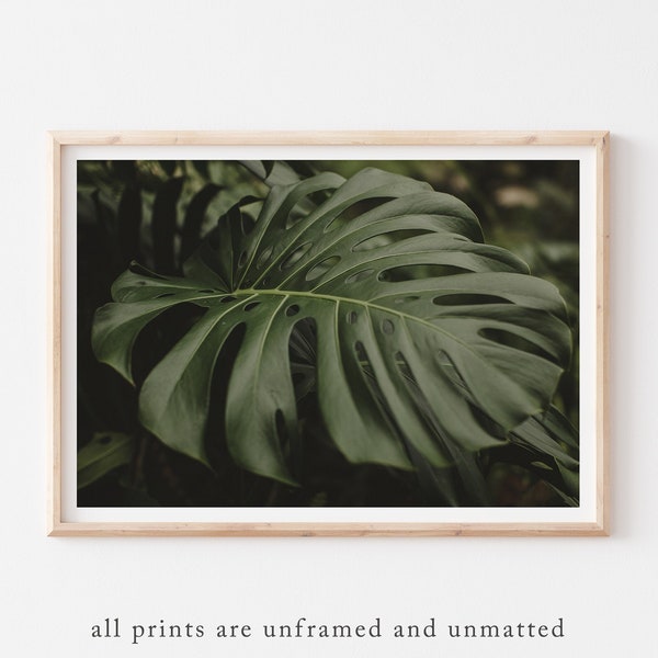 Boho Green Monstera Print, Black Monstera Print, Leaf Poster, Greenery Boho Photography, Monstera Wall Print, Botanical Poster, Plant Photo