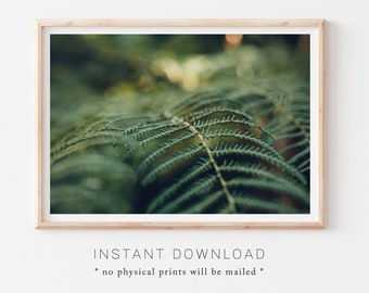 Nature Prints 11x14, Green Nature Decor, Digital Botanical Prints, Botanical Fern Print, Fern Photography, Green Minimalist Nature Wall Art