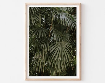 Dark Green Palm Leaf Wall Art, Palm Leaves Print, Leaf Wall Art, Tropical Decor, Palm Tree Print, Tropical Leaf Print, Wall Art Printable