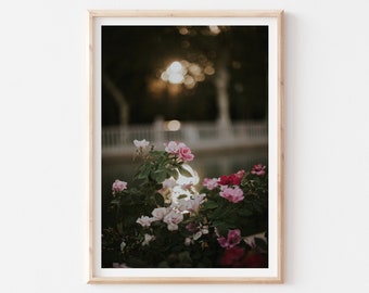 Dark Moody Pink Roses Fine Art Photography Print, Dark Florals Wall Decor, Pastel Roses Wall Art, Pink Flower Photography, Botanical Decor