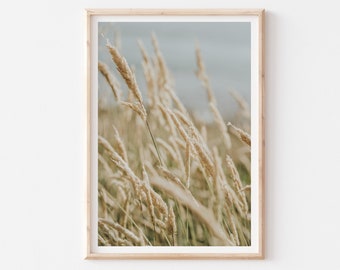 Pampas Grass Print, Coastal Poster, Beach Wheat Photography Print, Farmhouse Art, Rustic Farmhouse Decor, Coastal Wall Art, Dry Grass Print