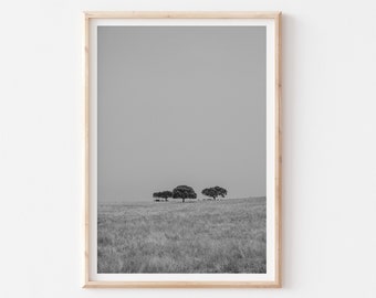 Black White Landscape Photography Printable, Nature Printable Wall Art, Minimalist Nature Wall Art, Scandinavian Wall Art, Minimal Trees Art